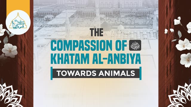 The Compassion of Khatam al-Anbiya ﷺ Towards Animals