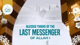 Blessed thighs of the Last Messenger of Allah ﷺ