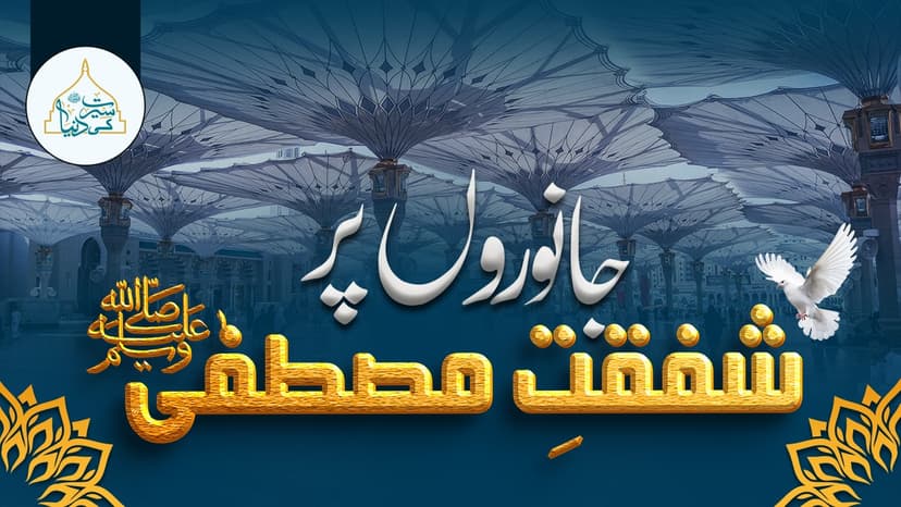 جانوروں پر شفقت مصطفیٰﷺ