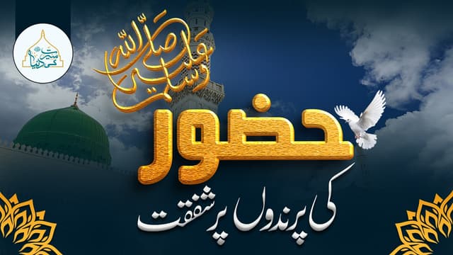 حضورﷺ کی پرندوں پر شفقت