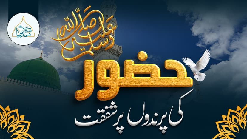 حضورﷺ کی پرندوں پر شفقت
