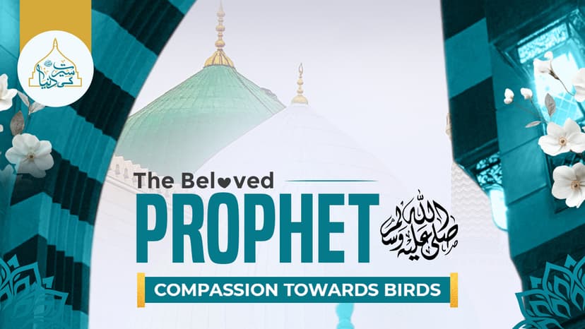 The Beloved Prophet's ﷺ compassion towards birds