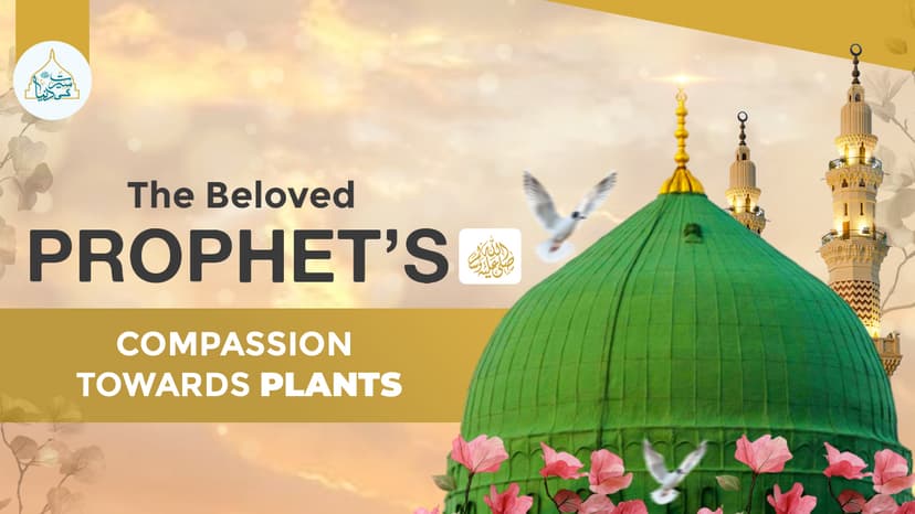 The Beloved Prophet’s ﷺ compassion towards plants